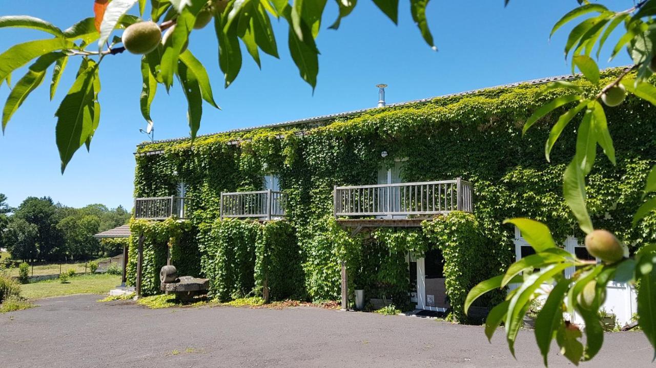 Domaine Des Pecheries Montel-de-Gelat Exteriör bild